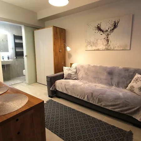 Apartamenty 11-go Listopada - Royal Aparts Świeradów-Zdrój Zewnętrze zdjęcie
